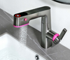 Multiple Function Basin Faucet With Gargle Sprayer BF04001-BGM