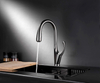 SLY Brass Chrome Pull-out Spray Kitchen Sink Faucet Mixer Tap
