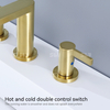 SLY Hot Sell Luxury Gold Double Handle Faucet