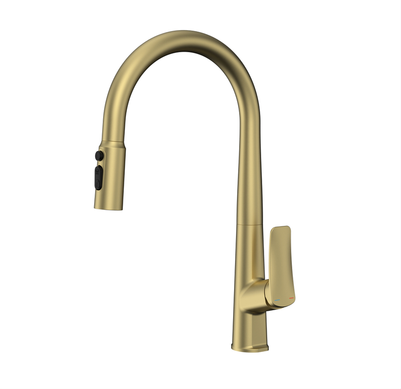 Sprayer Filetr Sink Pull Out Kitchen Faucet 