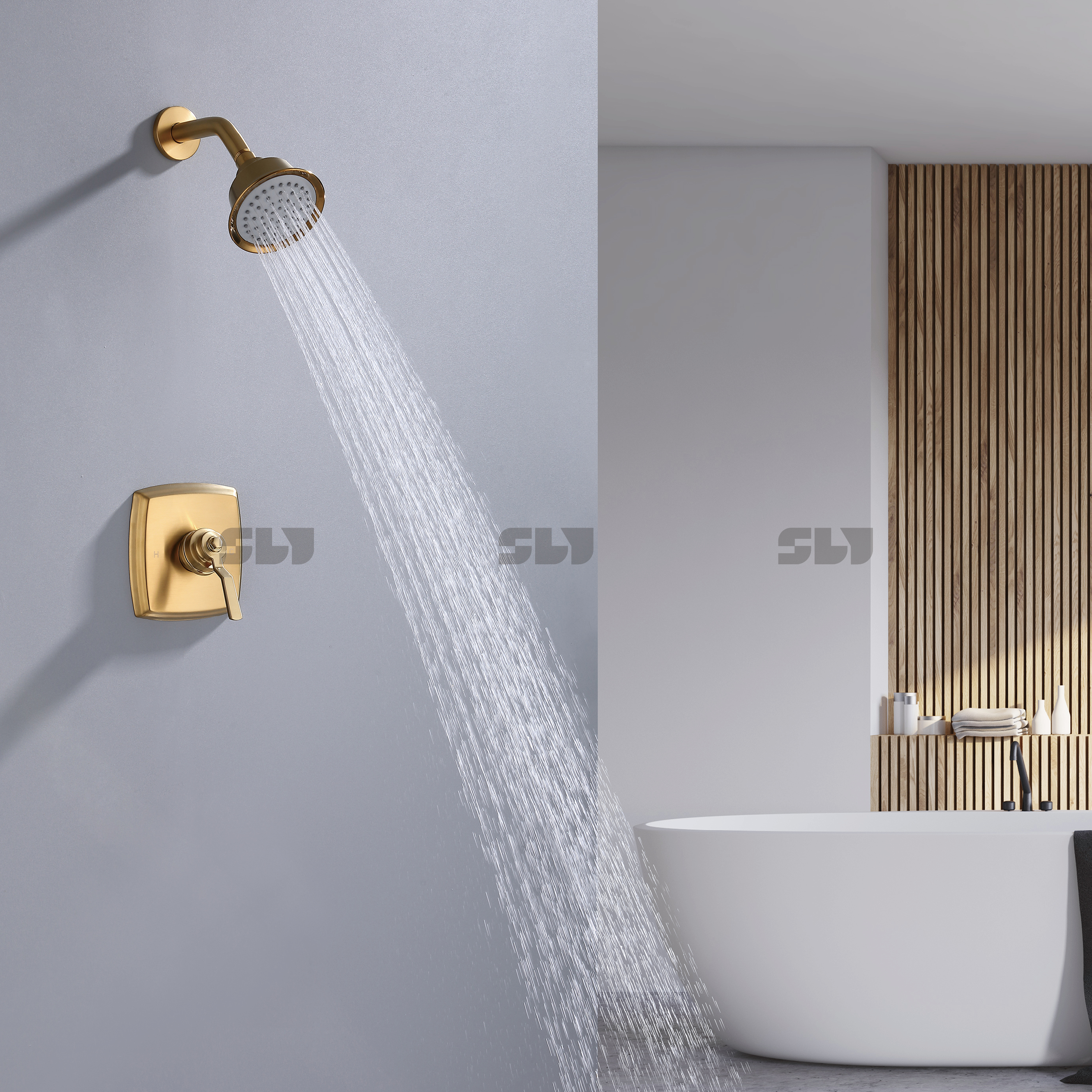 Concealed Shower Mixer Single Function 