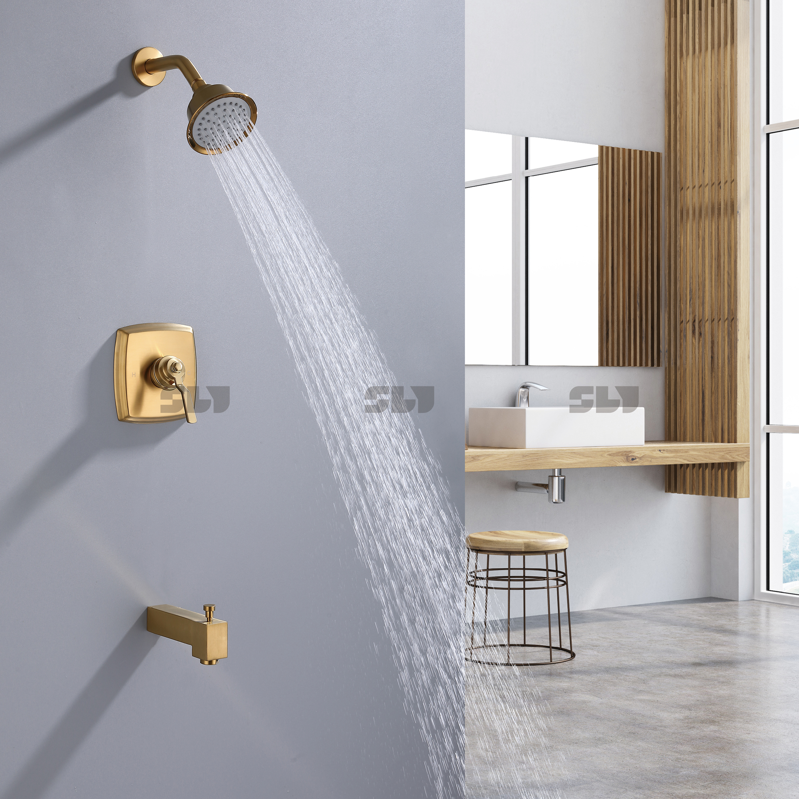 shower head and valve