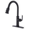 SLY Kitchen Faucet Pull Down Sprayer Single Handle