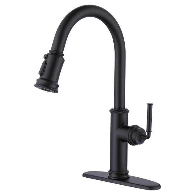 SLY Kitchen Faucet Pull Down Sprayer Single Handle