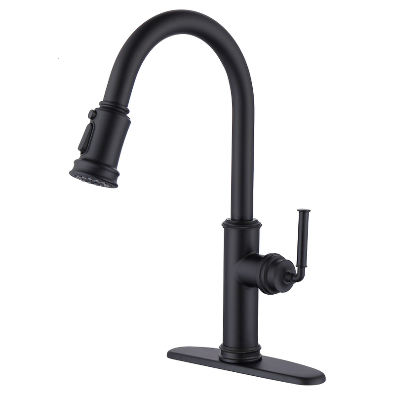 SLY Kitchen Faucet Pull Down Sprayer Single Handle