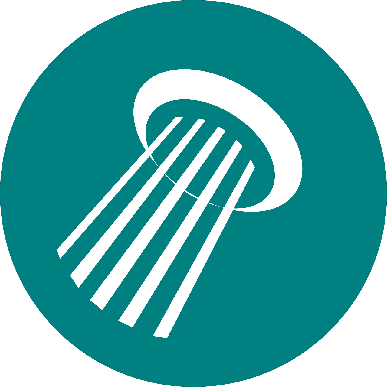 polished nickel shower system