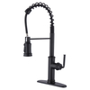 SLY Matte Black Unique Novel Design Single Handle Kitchen Faucet