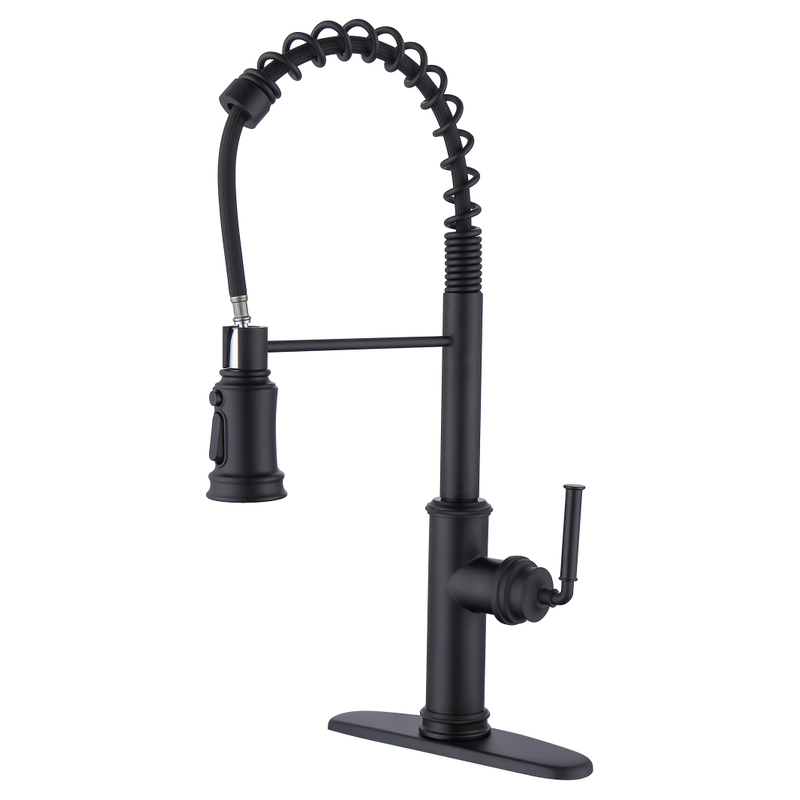 SLY Matte Black Unique Novel Design Single Handle Kitchen Faucet