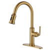 SLY Kitchen Faucet Pull Down Sprayer Single Handle