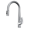Kitchen Faucet Luxury