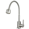 chrome kitchen faucet