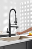 Sink Faucet With Pull Down