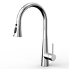 SLY Chrome Spring Pull Down Out Tap Kitchen Sink Taps