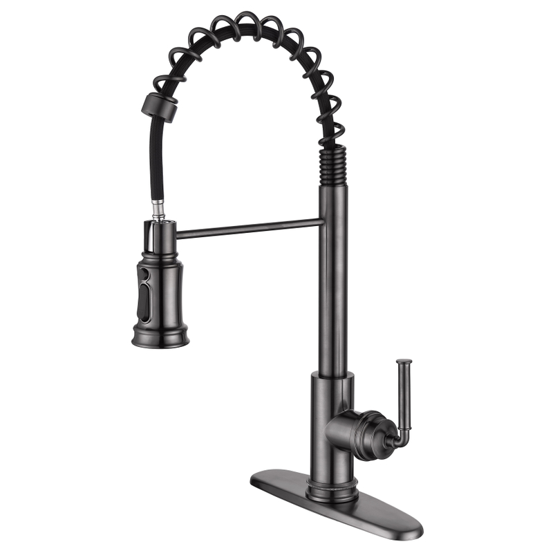 SLY Brushed Nickel New Style Kitchen Faucets With Sprayer Fashion Pull Out Sprayer 