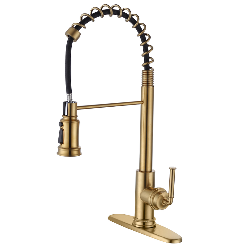 SLY Brushed Nickel New Style Kitchen Faucets With Sprayer Fashion Pull Out Sprayer 