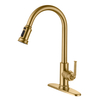 SLY Brushed Nickel Single Handle Pull Down Kitchen Sink Faucet With Sprayer