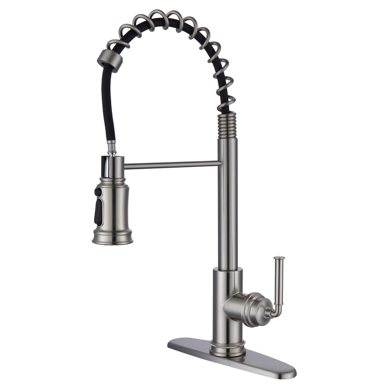 SLY Brushed Nickel New Style Kitchen Faucets With Sprayer Fashion Pull Out Sprayer 