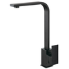 Matte Black Chrome Faucet