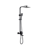  3-Functions Shower System