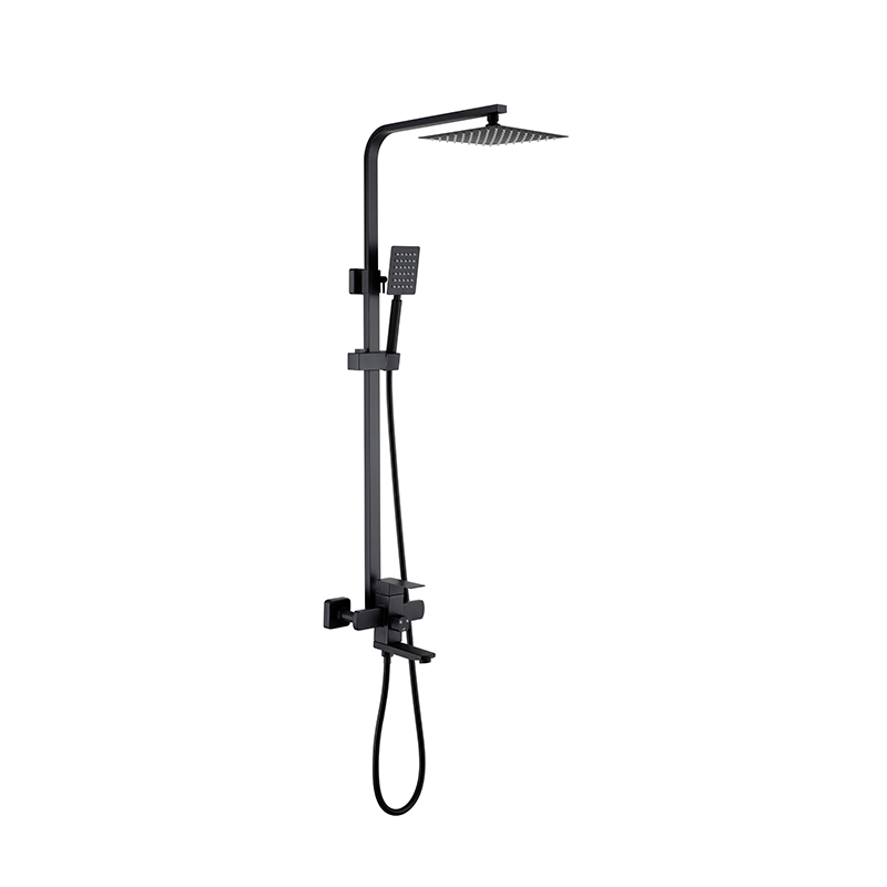  3-Functions Shower System
