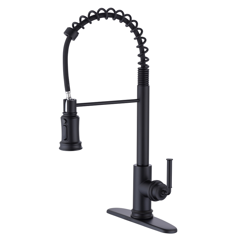 SLY Brushed Nickel New Style Kitchen Faucets With Sprayer Fashion Pull Out Sprayer 
