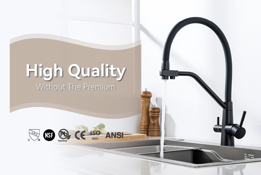 kitchen faucet with pull-out spray.jpg